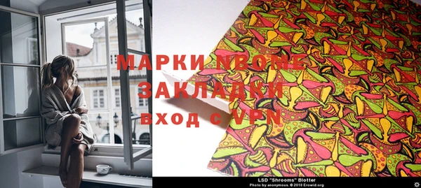 стаф Аркадак
