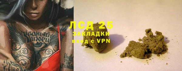 стаф Аркадак