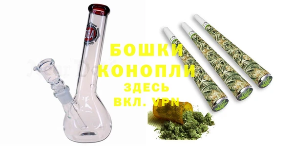 стаф Аркадак